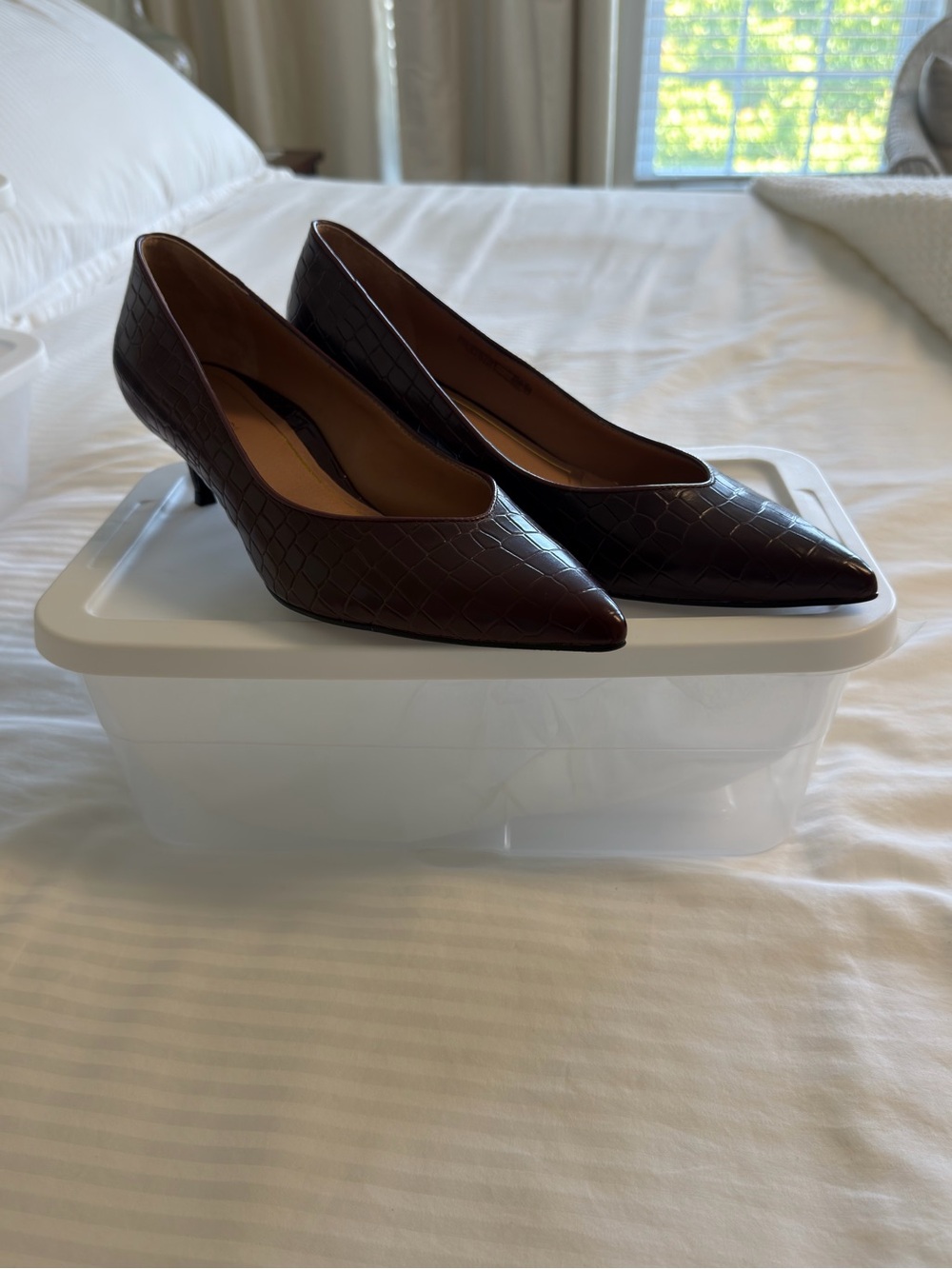 Vionic Pointed-Toe Croc-Embossed Pumps in Dark Brown